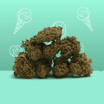 Gelato CBD