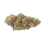 Harlequin CBD - Magic CBD