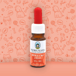 Huile CBD Chat 10%
