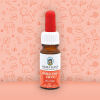 Huile chat 5% CBD