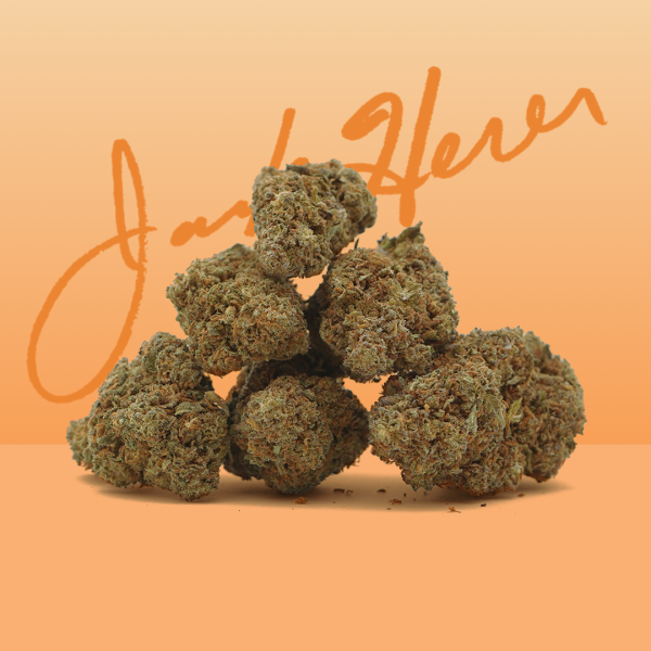 Jack herer CBD