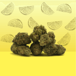 lemon fond