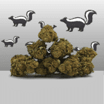 Super Skunk