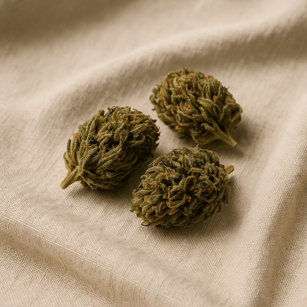 Fleurs de CBD sur un linge blanc