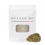 SKYWALKER - DH
